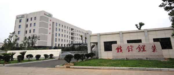 江西贛鋒鋰業(yè)集團股份有限公司