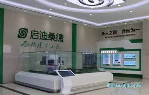 啟迪桑德環境資源股份有限公司