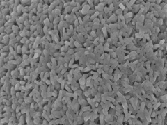 朗晟科技 鋰電正極材料 三元材料 GN80型