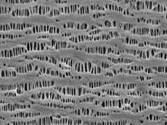 滄州明珠芳綸涂覆隔膜圖3