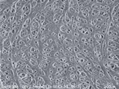 捷力新能源 消費電子用鋰離子電池隔膜 J-GP-CU20/16/12M