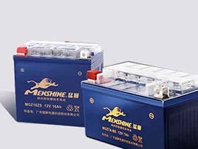 猛獅科技 蓄電池