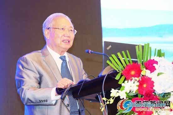 中國工程院院士鄭綿平在2019鋰業(yè)大會