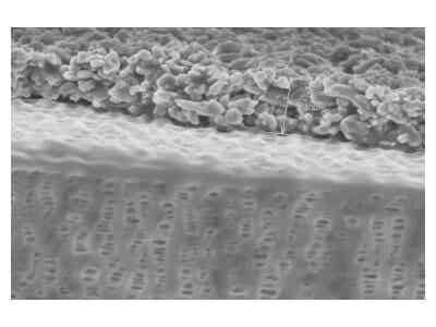惠強新材 C系列涂覆膜（氧化鋁）