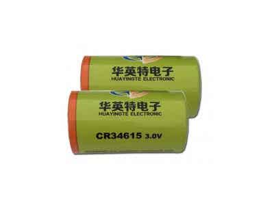 華英特 野外智能水文監(jiān)測儀專用 鋰錳電池圖2